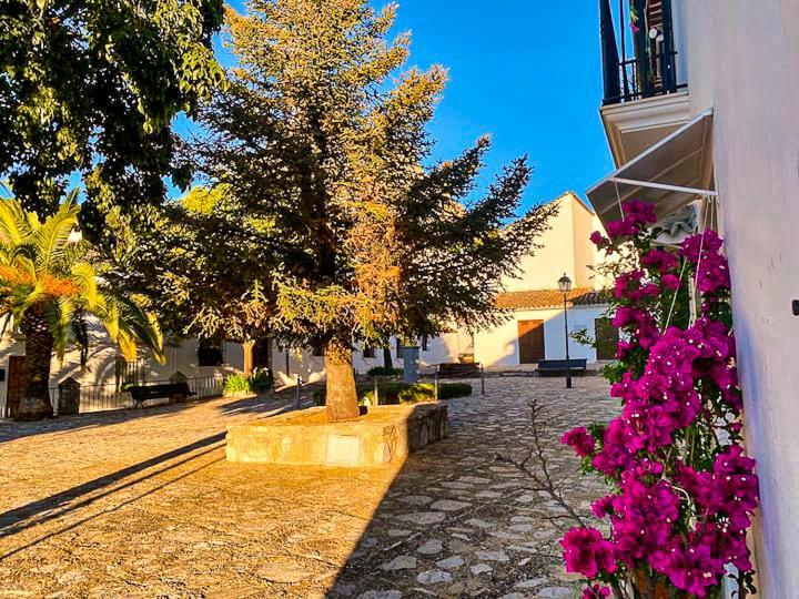 فيلا Grazalema - Casita La Calma - Incredible Views, Clima Frio-Calor, Wifi & Private Parking Optional المظهر الخارجي الصورة